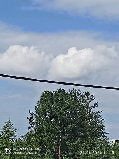 A low-angle shot captures a tall evergreen tree dominating the center of the frame, its dense green foliage silhouetted against a bright blue sky dotted with fluffy white clouds. A black power line stretches horizontally across the upper third of the image, partially obscuring the sky and the tree. To the left and right of the main tree, other trees with lighter green leaves are visible, suggesting a wooded area. In the bottom left corner, white text reads "REDMI NOTE 8 PRO AI QUAD CAMERA", and in the bottom right corner, white text displays the date "21.06.2026" and time "11:45". The scene appears to be outdoors, with no people or specific urban structures visible, but the presence of the power line implies a developed area within or near Sovetskiy, Russia.