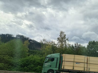 The image captures a side view of a green truck carrying stacks of lumber on a road, with a densely wooded hillside and a cloudy sky in the background. The truck is in motion, as indicated by the blur. The lumber is arranged in neat, rectangular stacks, secured with straps. The hillside features a mix of evergreen and deciduous trees, with some areas showing signs of logging or deforestation. The sky is overcast with dark, heavy clouds, suggesting a possibility of rain. The location is identified as Brunn, Austria.