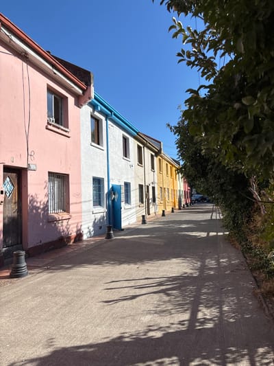 The image displays a residential street in Tomé, Chile, under clear daylight conditions. A continuous row of multi-colored, two-story houses occupies the left side of the frame, receding into the distance. The closest house on the left is painted pink, featuring a wooden door with a diamond-shaped accent and a window with security bars. Adjacent to it is a white house with a blue front door, barred windows, and a prominent blue gutter system running along its roofline. Further down the street, houses are visible in sequential colors including yellow, green, and red. Black, cylindrical bollards are evenly spaced along the curb in front of the houses. The street itself is a paved or concrete surface. The right side of the street is lined with dense green trees and foliage, which cast long, distinct shadows across the street surface. The sky overhead is clear and bright blue. No individuals are visible in the scene. A dark-colored vehicle is discernible in the distant background at the end of the street.