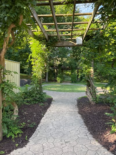 This image depicts a shaded pathway made of stamped concrete, leading through a garden area with lush green foliage. The path is bordered by dark brown mulch and various plants, including vines that climb on wooden posts and a pergola structure overhead. The pergola, constructed of weathered wooden beams, is partially covered in greenery. In the background, more trees and a glimpse of a light-colored building with a corrugated metal exterior are visible. The scene is set outdoors, suggesting a park, garden, or residential outdoor space in South Abington Township, United States of America. The lighting indicates it is daytime, with sunlight filtering through the leaves and casting shadows. There are no people or animals present in the image.