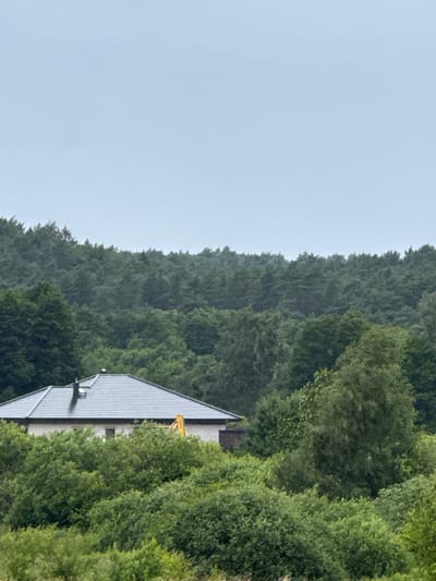 The image shows a house partially obscured by dense green foliage in the foreground and midground. The house has a dark-tiled roof and light-colored walls, with a chimney visible on the left side. A yellow construction vehicle is partially visible behind the house. In the background, a dense forest of dark green trees stretches across the horizon under a pale, overcast sky. The scene appears to be set in a rural or semi-rural area. The location is identified as Kołczewo, Poland. There are no people or animals visible in the image.
