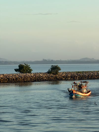 In Pak Nam Chumphon, Thailand, an overcast sky casts a soft light on a tranquil body of water. In the foreground, the calm sea ripples gently, reflecting the muted tones of the sky. A short distance away, a rocky breakwater stretches across the scene, adorned with two small, verdant trees. Beyond the breakwater, the hazy outline of a distant coastline is visible, suggesting a vast expanse of land.

Dominating the middle ground is a small fishing boat, its hull painted in vibrant shades of blue, red, and white, cutting through the water with a gentle wake. The boat is equipped with a detailed superstructure, including a mast, railings, and various fishing equipment. Two white birds are in flight near the boat. The scene appears to be captured during the early morning or late afternoon, given the soft, diffused light.