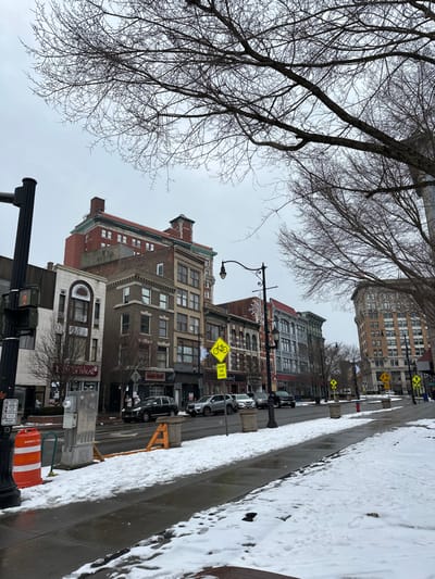 This full-length, vertically oriented photograph captures a winter urban street scene under an overcast sky.
The upper left portion of the frame is dominated by the intricate, bare branches of a large deciduous tree, silhouetted against the bright, grayish sky.
On the right side, a row of multi-story historic buildings with varying architectural styles lines the street. These structures feature brick and stone facades with numerous windows, suggesting a mix of commercial ground floors and upper-level residences or offices. One building on the far right has distinct red brick and green trim on its upper stories, while another closer to the foreground features a prominent white facade with an arched window.
Along the base of these buildings, a street is visible with several parked cars. Adjacent to the buildings is a sidewalk, partially covered with patches of snow, indicating cold, wintry weather. Ornate black streetlights with curved arms are spaced along the sidewalk. A yellow square sign, clearly visible on one of the lamp posts, features a black bicycle symbol and the text "SHARE THE ROAD". Further down the street, an orange and white construction barrel is present.
Other visible text includes partially obscured lettering on a storefront below the white arched facade, which appears to read "HOUSE OF HALAL". The time of day appears to be daytime, likely late morning or afternoon, given the ambient light. No people are visible in the scene, which portrays a quiet, snowy day in Binghamton, United States.