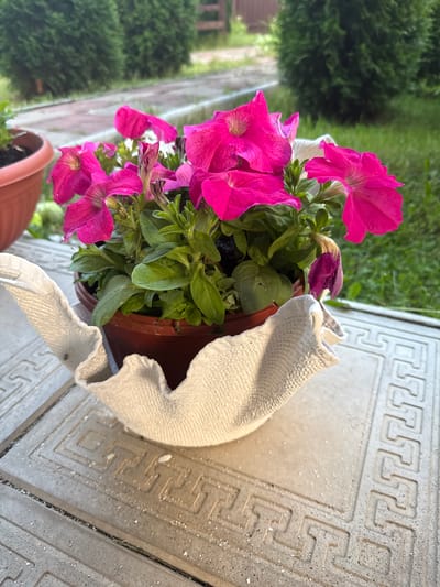 The image shows a close-up of a potted petunia plant with vibrant pink flowers. The plant is in a brown pot and is placed on a textured gray surface with a decorative border. A white, woven cloth is draped over the edge of the pot, partially obscuring the flowers and foliage. In the background, out-of-focus green foliage and a path suggest an outdoor setting, possibly a garden or yard. The lighting indicates it is daytime. The overall scene is peaceful and showcases the beauty of the flowers. No people are visible in the image.