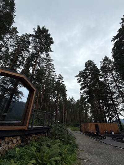 The image depicts a contemporary resort nestled within a dense coniferous forest, likely in the vicinity of Nizhnekayancha, Russia. The scene is dominated by tall, slender pine trees, their dark green foliage reaching towards a heavily overcast sky. In the foreground, a modern, angular cabin with large glass windows and wooden accents is visible. The cabin is elevated on stilts, with a wooden deck and railing. Below the deck, a substantial stack of cut logs is piled, interspersed with lush green ferns and undergrowth. To the right of the cabin, a gravel path winds its way through the trees, leading towards another wooden structure, possibly a sauna or changing room, with an adjacent outdoor seating area featuring multiple lounge chairs. The overall atmosphere is serene and natural, with the architecture harmoniously integrated into the forest landscape. There are no people visible in the image.
