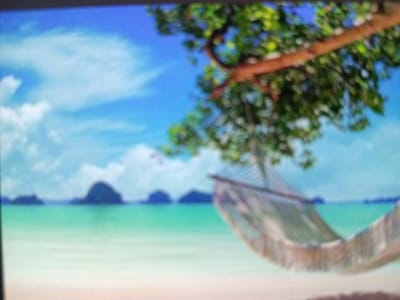 The image depicts a tranquil tropical beach scene. In the foreground, a hammock is suspended, its woven material softly blurred. The hammock is attached to a tree branch, adorned with vibrant green leaves, suggesting a lush environment. The branch extends from the upper right of the frame.

Beyond the hammock, a calm, turquoise body of water stretches out, meeting a sandy beach in the very bottom of the image. In the distance, several islands or landmasses rise from the sea, their shapes indistinct against a bright blue sky dotted with fluffy white clouds. The overall impression is one of relaxation and natural beauty.

The lighting suggests it is daytime, likely a clear and sunny day. There are no people visible in the scene, enhancing the feeling of solitude and peace. The location cues, such as the tropical foliage, turquoise water, and island formations, point towards a warm, exotic destination. The image evokes a sense of calm and serenity, inviting the viewer to imagine themselves unwinding in the hammock. No text is visible in the image. The location context of Tbilisskaya, Russia, is inconsistent with the visual elements of the image, which strongly suggest a tropical environment rather than a Russian setting.