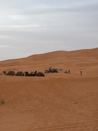 The image depicts a caravan of camels and people traversing a large sand dune in the desert near Rissani, Morocco. A line of camels, saddled for riding, are being led by people who are walking along the dune. Two more people appear to be climbing to the peak of the dune in the background. The landscape is mostly sand with some sparse vegetation and an overcast sky.