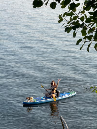 A woman and a dog are on a paddleboard in a body of water. The woman is wearing a black bikini and sunglasses, and she is smiling and waving. The dog is small and appears to be a terrier mix. The paddleboard is blue and has a green and white design. The water is calm and there are some trees in the background. The scene appears to be a leisurely activity on a summer day.