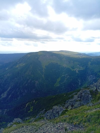 The image shows a mountainous landscape with a wide valley. The valley is covered with dark green coniferous trees. On the left side of the valley, there is a steep slope with scattered trees. On the right side of the valley, there are rock formations covered with grass and some yellow flowers. In the distance, there are more mountains. The sky is cloudy. There are no people or animals visible in the image. The scene appears to be in a natural, undeveloped area. The location of Malá Úpa, Czechia is suggested, which is a mountainous region.