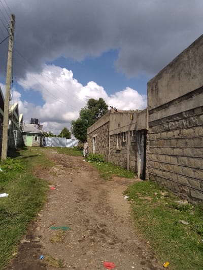 The image depicts an unpaved dirt path in Njoro ward, Kenya, flanked by buildings under a sky with both dark grey storm clouds and patches of clear blue with white cumulus clouds.
On the left side, a tall wooden utility pole with multiple wires extends from the foreground towards the background. Behind it, a series of single-story structures are visible; the closest has a light-colored roofline, followed by a building with a light green door, and then a corrugated metal fence.
On the right side, two adjacent single-story buildings constructed from textured concrete blocks, resembling stone, border the path. The building closer to the foreground presents a solid wall with a smooth concrete parapet. The second building, set slightly back, features several narrow, rectangular window openings and a recessed, dark-colored doorway. Three dark-feathered birds are perched on the parapet of this second building, with a yellow object also visible on its roofline. A single individual, dressed in light-colored, patterned clothing, stands partially obscured by a small green bush next to the second building on the right.
The dirt path itself shows tire tracks or heavy foot traffic, with scattered debris including red, blue, and green plastic items. Green grass verges line both sides of the path, containing additional pieces of white and yellow litter. Green trees are visible in the mid-ground between the buildings.