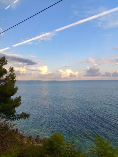 The image depicts a scenic view of the Black Sea from a coastal area, possibly in Chigripshi, Abkhazia. The sky is a bright blue, with scattered white clouds and two distinct white contrails from an aircraft. A dark horizontal line, likely a power line or wire, cuts across the upper portion of the frame. The sea is a deep blue, with gentle ripples reflecting the sky's colors. Along the left side of the image, a dark green conifer tree extends from the foreground, partially obscuring the view of the sea. The coastline in the foreground is rocky and covered with vegetation. The overall impression is one of a tranquil, natural landscape with a touch of human presence indicated by the contrails and the wire.