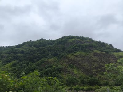 A wide shot captures a densely forested mountain slope under a heavily overcast sky in Dzoraget, Armenia. The mountain is covered in a lush, green canopy of trees, with patches of exposed rock face visible on the upper slopes. The foreground is blurred, suggesting movement, and shows the tops of smaller trees and foliage. The overall scene is dominated by shades of green and gray, with the clouds creating a diffused, dim light.