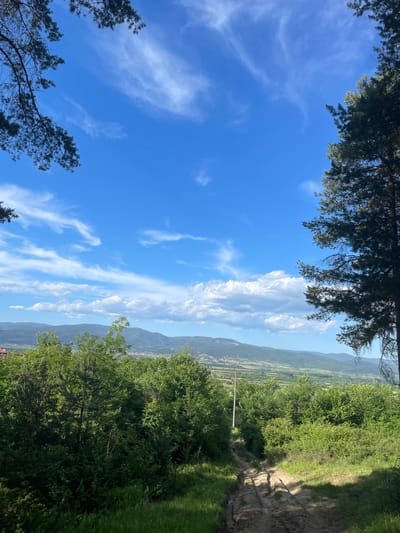 The image presents a view of Novo Leski, Bulgaria, framed by trees. The sky is blue with scattered cirrus clouds. A mountain range and a valley with buildings are visible in the distance. A dirt path runs along the right side of the image, bordered by green vegetation.