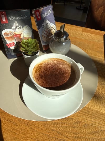 This is an overhead shot of a coffee cup filled with a foamy, coffee-like beverage dusted with cocoa powder, placed on a white saucer. The saucer rests on a beige placemat on a wooden table. To the left of the coffee cup, a small potted succulent plant sits in front of a glass sugar dispenser with a silver lid. In the background, two menus are visible, one displaying "Waffel & Eis" (Waffle & Ice Cream) and the other "Sommerleicht" (Summer Light) with images of various iced coffee drinks, including "Eiskaffee" (Iced Coffee) and "Iced Caramel Macchiato." The text "cadera seit 1853" is visible on both menus, suggesting it is a brand or cafe. The scene is illuminated by bright sunlight, casting sharp shadows, indicating it's daytime, likely a sunny afternoon. The setting appears to be an outdoor cafe or a well-lit indoor space with natural light. There are no people visible. The overall mood is relaxed and suggests a pleasant break.