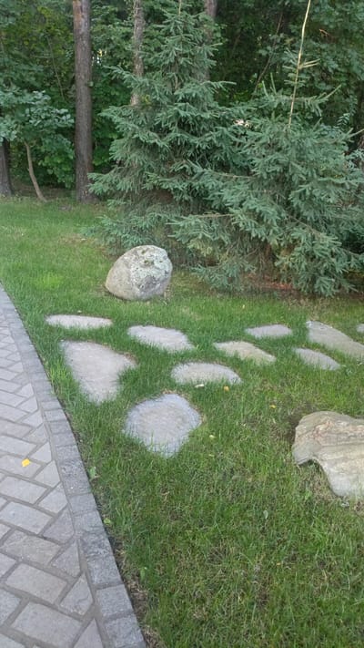 The image depicts a lush, green lawn with a stone pathway and scattered large rocks. A dense evergreen tree with blue-green needles dominates the background, with other trees and foliage visible behind it. The pathway is comprised of irregularly shaped, flat grey stones interspersed with grass. To the left, a paved walkway with interlocking rectangular stones forms a border to the lawn. One large, moss-covered boulder sits on the grass near the evergreen tree, and another is visible in the lower right corner of the frame. The scene appears to be a well-maintained garden or park area. The lighting suggests it is daytime, likely with overcast skies as there are no harsh shadows. The location is identified as Nikolino, Russia. There is no visible text in the image.