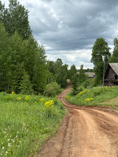 A dirt road curves through a green, grassy landscape under a cloudy sky, leading past trees and an old wooden building, likely in a rural area near Medvedka, Russia. Yellow wildflowers and dandelions dot the grassy verges of the road. Tire tracks are visible on the road.
