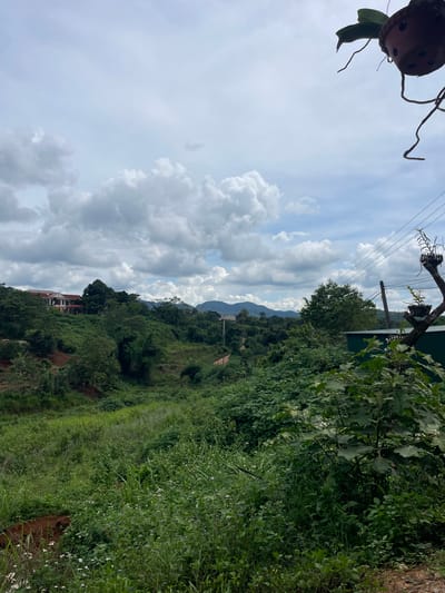 The image depicts a lush, green landscape under a cloudy sky, likely in Hướng Phùng Commune, Vietnam. The foreground is dominated by dense vegetation, including tall grasses and leafy plants, with some small white wildflowers interspersed. A brown patch of exposed soil is visible in the lower left.

In the middle ground, rolling hills are covered with trees and shrubs. A dirt road winds its way up one of the hills. On the crest of a hill, a large, light-colored building with a red roof is visible, surrounded by trees. Power lines stretch across the scene, supported by utility poles.

The background features a range of hills and mountains, partially obscured by clouds and distance. The sky is filled with a mix of white and gray clouds, suggesting an overcast or potentially stormy day. In the upper right corner, a hanging potted plant with dark green leaves and thin, dangling roots is partially visible against the sky. A dark green corrugated metal structure is partially visible in the right middle ground. The overall impression is of a rural, natural setting.