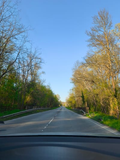 The image presents a forward-facing view from inside a vehicle, capturing a tree-lined road near Staro Oriahovo, Bulgaria. An asphalt road, marked with a dashed white center line, stretches into the distance, appearing to curve slightly. Silver guardrails, showing signs of age or rust, run parallel to the road on both sides.
The roadside is densely bordered by trees and vegetation. Many trees on the left side of the road have mostly bare branches, indicating late winter or early spring, with some showing hints of new light green foliage. On the right, the trees appear more developed, with sunlit, vibrant green leaves. Green grass and undergrowth are also visible along the shoulders of the road.
The sky is a clear and bright blue, with no clouds. The lighting suggests either early morning or late afternoon, as long shadows from the trees on the left are cast across the road surface. In the far distance, several light-colored vehicles can be seen on the road. The top edge of a car's dashboard or steering wheel is visible at the very bottom of the frame, establishing the perspective of being on the move. The scene conveys a sense of peaceful travel through a natural, awakening landscape under clear skies. No visible text is present in the image.