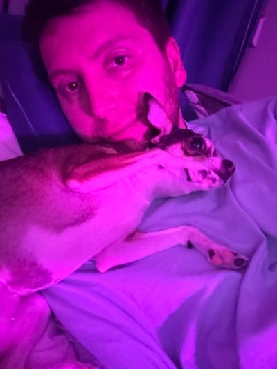 The image shows a person and a small dog in a bedroom in Tokaryovo, Russia. The room is illuminated by pink and purple lighting. The person is lying down with the dog on their chest, and the dog appears to be sleeping. The person's face is partially visible, and they are looking at the camera. The dog is a mix of white and brown and has black spots on its nose and paws. The person is wearing a light blue shirt. The background is dark and appears to be a wall with some curtains. The scene suggests a moment of relaxation and affection between the person and their pet.