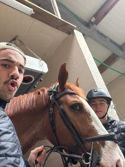 The scene unfolds inside an equestrian facility in Enghien, Belgium. Three subjects are prominently featured: two individuals and one horse. On the left, a light-skinned male, wearing a light-colored baseball cap reversed and a dark puffer jacket, holds a black horse bridle with his left hand. His mouth is open in an exaggerated 'o' shape. Central to the image is a chestnut-colored horse, fitted with a black bridle and metal bit, displaying a distinct white blaze on its face. Its right eye is visible, directed towards the camera. To the right, partially obscured by the horse's head, is another light-skinned individual wearing a black equestrian helmet and a dark puffer jacket with a white logo on the chest. This individual looks directly at the camera with a neutral expression. The background reveals an indoor environment with off-white, possibly painted, block walls, exposed wooden ceiling beams, and metal supports. Overhead, a long fluorescent light fixture is mounted, and a rectangular therapy lamp with red-glowing elements is suspended. A green hose or cable runs along the upper wall structure.