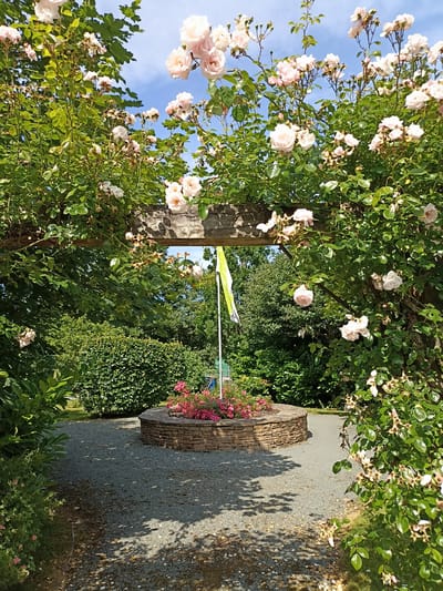 The image depicts an outdoor garden scene, likely in Dungloe, Ireland, featuring a stone circular planter filled with pink flowers. Above the planter, a wooden archway is adorned with light pink roses and lush green foliage. A yellow and white flag is visible behind the archway, and the ground is covered with small grey gravel. The environment suggests a sunny day with dappled sunlight filtering through the trees, casting shadows on the gravel path. The scene is serene and picturesque, evoking a sense of tranquility.