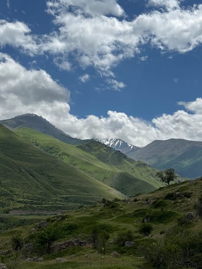 The image depicts a mountainous landscape under a blue sky with scattered white clouds. The foreground is dominated by grassy, undulating terrain with scattered rocks and bushes. A low stone wall is visible in the lower left portion of the image, partially covered by vegetation. In the mid-ground, a solitary tree stands on a slope. The background features layers of green, rolling hills and mountains, some of which have patches of snow on their peaks. The scene appears to be a natural, rural environment. The location is identified as El'tiubiu, Russia. There are no people or animals visible in the image. The overall impression is one of a serene, expansive natural setting.