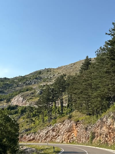 The image depicts a winding road cut into a rocky mountainside in Bukovica, Montenegro. The road curves to the right, with white lane markings visible. The mountainside is covered in sparse vegetation, grasses, and scattered pine trees. The rock formations are a prominent feature, with exposed layers of light brown and reddish-orange stone. In the foreground, the road is bordered by dry grass and low-lying vegetation. In the background, the mountain slopes upward, covered in more rugged terrain and trees. The sky is clear and blue, indicating a sunny day. There are no people or animals visible in the image.