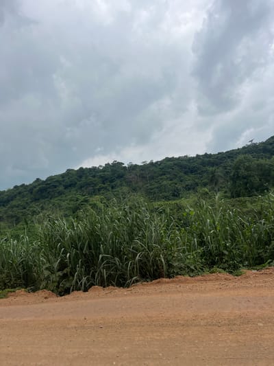 A dirt road in Efon Alaaye, Nigeria, stretches across the bottom of the frame. To the right of the road is a dense growth of tall green grasses. Behind the grasses, a lush green hillside rises, covered in trees and vegetation. The sky above is overcast with heavy, grey clouds.