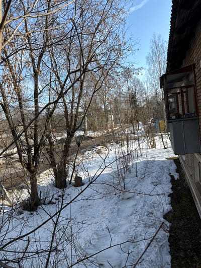 An elevated outdoor scene in Kurganovo, Russia, captured during daylight under a clear blue sky. The viewpoint is from an upper floor of a brick building, with a portion of a wooden-framed balcony visible on the right. The balcony features glass panes and a grey metal base, with various indistinct objects positioned inside. Below the balcony, the ground slopes downwards, covered in melting snow with visible footprints and bare patches of earth and dormant vegetation. Numerous bare-branched deciduous trees dominate the midground, partially obscuring a dirt or gravel road that curves through the landscape. Two human figures are visible walking on the road in the distance, partially obscured by tree trunks. In the background, further bare trees and residential structures are discernible, along with two small utility buildings, one yellow and one blue. A dark, cylindrical object rests near the base of a tree in the midground snow. The overall environment suggests a late winter or early spring season.