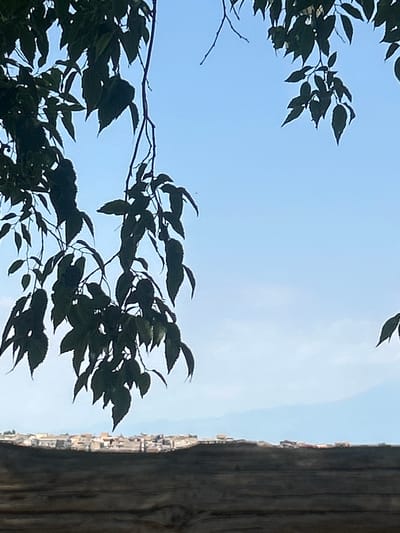 The image captures a serene view of Militello in Val di Catania, Italy. In the foreground, a textured, dark surface, possibly a wooden fence or wall, occupies the lower portion of the frame. Above this, a distant town with buildings featuring terracotta roofs stretches across the horizon, bathed in soft light. The town is set against a backdrop of hazy blue mountains. Overlooking the town and foreground is a canopy of dark green leaves from trees, silhouetted against a clear, pale blue sky. The leaves hang down from branches, some obscuring parts of the sky and the town. The overall scene evokes a peaceful, natural setting overlooking an Italian town.