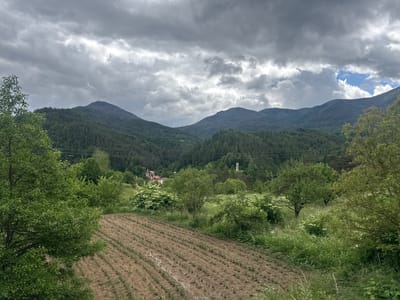 The image depicts a rural landscape scene, likely in the vicinity of Arda, Bulgaria, characterized by rolling hills and a cloudy sky. In the foreground, a cultivated field with young plants is visible, showing rows of small green shoots emerging from the soil. To the left and right, lush green trees and vegetation frame the field.
In the mid-ground, a cluster of buildings with red-tiled roofs can be seen nestled amongst the trees, suggesting a small village or settlement. A tall, white, tower-like structure stands on a hill in the distance, amidst the dense green forest that covers the lower slopes of the mountains.
The background is dominated by a series of imposing, forested mountains, their peaks partially obscured by a heavy, overcast sky filled with dramatic, grey clouds. The overall atmosphere of the image is one of natural beauty and a sense of peaceful, rural life under a dramatic sky. There are no people or animals visible in the scene.