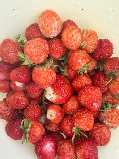 A top-down, close-up shot shows a pile of ripe strawberries in a light-colored bowl. The strawberries are a mix of bright red and pale pink, with visible seeds on their surface. Some of the strawberries have green stems and leaves attached. The lighting is bright, highlighting the glossy texture of the fruit. The background is a plain, light-colored surface, likely the inside of the bowl. The scene is domestic, suggesting a harvest or preparation for consumption. The image does not depict any specific location within Новое Село, Russia, as it is a close-up of food items without environmental context.