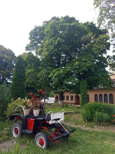 The image shows a red and black decorative cart filled with potted plants, including red-leafed plants and white flowers, positioned on a grassy area in front of a yellow brick building with arched windows and doorways. A very large, leafy tree dominates the background, with other green trees and foliage surrounding the scene. The setting appears to be a garden or park area, possibly associated with the building. No people are visible in the image. The cart has four wheels, two large ones in the rear and two smaller ones in the front, with red accents on the rims. The building has a brown tiled roof and appears to be well-maintained.