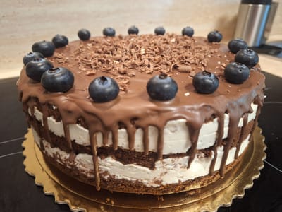 A close-up, eye-level shot showcases a decadent chocolate cake adorned with fresh blueberries and chocolate shavings. The cake, presented on a gold cake stand, features layers of dark chocolate cake interspersed with thick white cream. A rich chocolate ganache cascades down the sides, creating a drip effect. Scattered blueberries are placed on top of the ganache and among the chocolate shavings. The background is a softly blurred kitchen counter and wall, with a stainless steel appliance visible on the right. The lighting suggests an indoor setting, possibly during the day. No people are visible, and no text is present in the image. The scene evokes a sense of indulgence and homemade goodness.