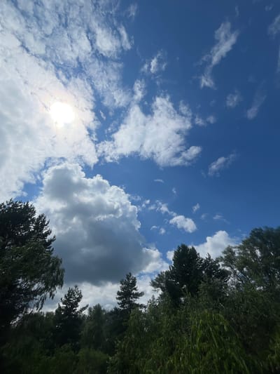 The image shows a bright, partly cloudy blue sky over a dense line of green trees. In the upper left, the sun is shining brightly, partially obscured by white, fluffy clouds. The sky is a vibrant blue with scattered cumulus clouds. The trees form a dark green silhouette along the bottom of the image, with varied textures suggesting different species. Some taller, pointed evergreen trees are visible amongst softer, leafy foliage. The overall scene depicts an outdoor natural environment. The location is identified as Pohreby, Ukraine.