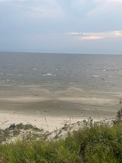 The image depicts a wide, expansive view of a beach and the sea, likely from an elevated vantage point. The sky is overcast with pale, diffused light, suggesting either early morning or late afternoon. The sea is a calm, muted gray-blue, with gentle ripples indicating a slight breeze. The beach is a wide expanse of light-colored sand, with some areas appearing damp and darker from recent tides. There are subtle undulations and channels in the sand, typical of a beach environment. In the foreground, the edge of a grassy embankment is visible, with tall blades of grass and some dried stalks adding texture and a sense of wilderness. To the left of the foreground, a small, weathered wooden structure, possibly a shed or a raised platform, is partially visible on a sandy mound. The overall scene evokes a sense of natural tranquility and vastness, characteristic of a coastal landscape. There are no people or animals visible in the image, and no specific landmarks are identifiable to pinpoint a precise location within Yamburg, Russia. The image focuses solely on the natural elements of the beach and the sea under a subdued sky.
