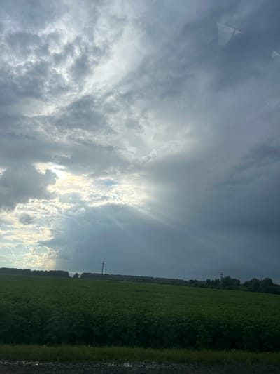 The image shows a cloudy sky over a green field. The sun is partially obscured by the clouds, creating a dramatic effect with rays of light shining through. There are power lines and trees visible in the distance. The field appears to be a crop field, possibly sunflowers, with rows of plants. The overall atmosphere is moody and atmospheric. The location is Izh-Boyki, Russia.