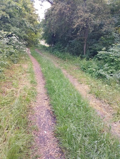 The image shows a narrow, unpaved path or lane running through a wooded area. The path is defined by two tire tracks and is mostly covered in sparse vegetation and fallen leaves. Lush green grass grows densely on either side of the path, merging into thick foliage and trees. The vegetation suggests a natural environment. The light is subdued, creating soft shadows. There is no visible indication of any specific location within San Martín de Porres, Peru, and no indication of any human presence. The path appears to lead into the distance towards a brighter area.