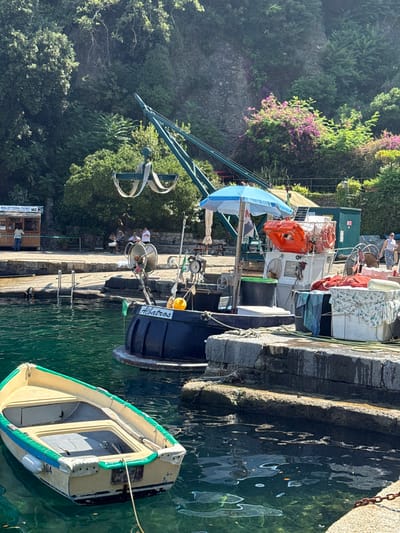 The image depicts a sunlit harbor scene in Portofino, Italy, likely during the daytime. In the foreground, a small, weathered yellow and green rowboat floats gently on the clear, dark green water. The boat has a white fender on its side and an oar resting inside. Behind it, a larger dark-colored boat, named "Albatros," is docked. This boat is equipped with a blue umbrella, an orange life preserver, and various other nautical equipment.
Further back, a green crane is positioned over the dock, with its rigging suspended in the air. Adjacent to the crane, a small wooden ticket booth with signage for "BIGLIETTERIA-TICKET" stands. Several people are visible on the dock, some sitting at a table and others standing. The background is dominated by a lush, green, rocky hillside covered in trees and vibrant pink flowers, suggesting a Mediterranean environment. The scene captures a peaceful moment in a picturesque Italian harbor.
