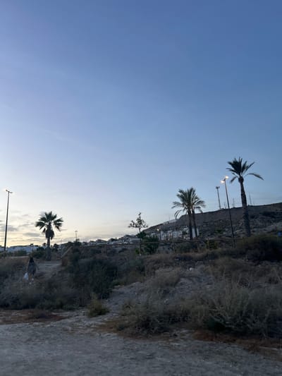 This is a vertically oriented image of a coastal landscape in Vera, Spain. The scene captures the transition from day to evening, with a clear blue sky gradually fading into lighter hues near the horizon.
The foreground features a rough, rocky path on the right side, leading upwards towards a steep, vegetated hillside. Several palm trees are scattered throughout the scene, with their fronds silhouetted against the sky. In the mid-ground, a cluster of white buildings with red-tiled roofs is visible, nestled into the hillside. This suggests a residential area or a small town.
Several streetlights are present, indicating a public area, possibly a promenade or a road. The overall impression is one of a tranquil, Mediterranean evening. The lighting suggests it is either sunrise or sunset, with soft, diffused light. There is no visible text in the image.