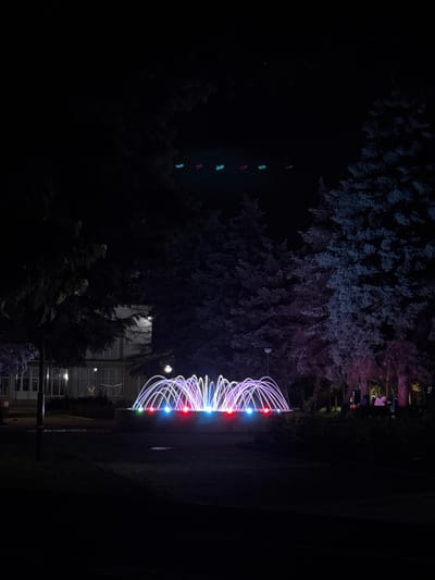 At night in Anenii Noi, Moldova, there's a tree with a spiraling light installation featuring red, blue, and green bulbs. Other trees and a building with lit windows are visible in the background. Above one set of trees, distant, smaller colored lights hang. People are observed nearby in the far-away distance.