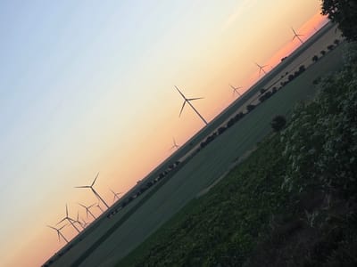 This image depicts a landscape at dusk, characterized by a diagonal composition. A field of crops, predominantly green, occupies the foreground and middle ground. In the distance, a row of wind turbines stands silhouetted against a gradient sky that transitions from pale blue at the top to warm orange and pink hues near the horizon. The turbines are spaced across a slightly elevated section of the landscape, suggesting a rolling terrain. A line of trees runs between the field and the turbines. The right edge of the image features dense, dark foliage, likely bushes or trees, with some lighter colored blossoms visible among them. The lighting suggests a time shortly after sunset. The scene is devoid of human presence. The location is identified as the city of Drandar, Bulgaria.