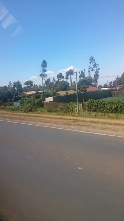 This image captures a landscape view from a moving vehicle, evidenced by the motion blur on the road in the foreground and reflections in the upper left corner, suggesting it was taken through a window. The scene depicts a sunny day with clear blue skies.
The bottom half to two-thirds of the image is dominated by a wide, gray asphalt road, appearing streaked and blurred due to motion. A thin, light brown line separates the road from the unpaved shoulder.
Beyond the road, the midground features a strip of dry, light brown grass and dirt, followed by denser green vegetation, including what appears to be cultivated plants in neat rows towards the right. A low, dark brown brick wall extends horizontally across the scene. To the right of this brick wall, there is a taller, light green or teal-colored wall. Integrated into this wall structure, towards the right-center, is a bright green metal gate with vertical bars. To the left of the brick wall, partially obscured by bushes, a blue rectangular sign with white, illegible text is visible. Several utility poles and overhead power lines are distributed throughout the midground and background, and a tall, dark lamppost-like structure stands near the green gate.
In the background, the terrain rises gently, densely covered with various trees and bushes. Several houses with reddish-brown or dark roofs are nestled among the foliage. Numerous tall, slender trees, possibly eucalyptus, with distinct crowns, punctuate the skyline, interspersed with other bushy green trees.
The sky is a vibrant, clear blue with only a few small, scattered white clouds visible near the horizon above the trees. The bright and even lighting indicates it is daytime, likely morning or early afternoon, with sunny weather. The overall impression is a semi-rural or peri-urban landscape observed during travel.