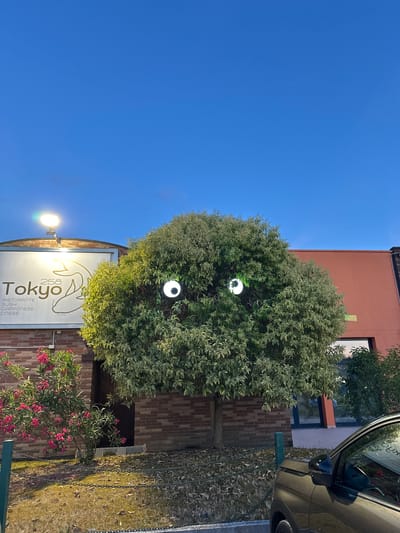 This is a medium shot of a tree with two large, round, glowing eyes positioned in its foliage, giving it a whimsical, monster-like appearance. The tree is situated in front of a brick building with a sign that reads "Tokyo 258 Ristorante Sushi Giapponese Cinese." To the left of the tree, there is a bush with bright pink flowers. An orange building is visible behind the tree. The sky above is a clear, deep blue, indicating it is either dawn or dusk. The foreground shows a portion of a dark-colored car, a paved area, and a chain-link fence with dry leaves scattered on the ground. The overall scene has a surreal and slightly eerie quality due to the tree's anthropomorphic eyes. The location is identified as Ponteterra, Italy.