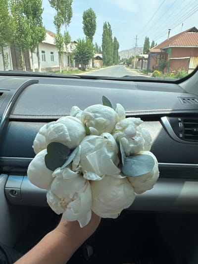 A bouquet of white peonies is held in a person's hand inside a car. The car's dashboard is visible in the foreground, with the road and buildings of Nookat, Kyrgyzstan, visible through the windshield. The sky is clear and the sun is shining. The buildings appear to be modest, with a mix of stucco and corrugated metal. Tall, slender trees line the street.