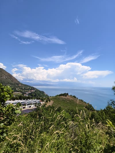 The image depicts a panoramic view of a coastal landscape in Lazurnoe, Ukraine, under a bright blue sky with scattered white clouds. In the foreground, tall, dry grasses sway gently. Behind them, a modern residential complex with white, cube-shaped buildings is visible, nestled against a hillside. Further up the slope, a vineyard stretches across the landscape, and a small town with red-tiled roofs is scattered along the coast. The azure sea extends to the horizon, meeting a hazy mountain range in the distance. The scene is bathed in sunlight, suggesting a clear, warm day.