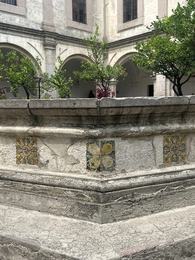 The image presents a sunlit view of an aged stone structure adorned with decorative tiles, overlooking a verdant courtyard and colonial-era architecture. In the foreground, a substantial stone wall or pillar occupies the right side, exhibiting a weathered, textured surface with visible cracks and imperfections. Embedded into this stone are several square azulejo tiles, featuring intricate, symmetrical patterns in shades of blue, yellow, green, and brown, depicting floral or geometric designs.
To the left and in the mid-ground, vibrant green trees with small, dense leaves and possibly small fruits (resembling citrus) grow abundantly, their branches extending across the frame and partially obscuring the background.
In the background, a light-colored architectural complex unfolds, characterized by a series of graceful arches that suggest a cloister, corridor, or an enclosed courtyard. Above these arches, windows fitted with dark grates are visible. A small amount of reddish-purple foliage is also present further in the background.
The scene is illuminated by natural daylight, creating clear shadows and highlights that emphasize the textures of the stone and foliage, indicating a bright, clear day. The architectural style, notably the arches and azulejos, is characteristic of colonial buildings, aligning with the context of Tepotzotlán, Mexico. There are no people or specific events depicted, and no visible text. The image evokes a sense of historical serenity and architectural grandeur integrated with natural elements.