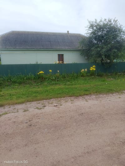 In Sestrynivka, Ukraine, a light green, corrugated metal fence runs horizontally across the image, separating a dirt road in the foreground from a grassy area and a single-story building with a gray, corrugated roof in the background. The building has a light green, horizontally-paneled exterior. A dark brown, rectangular window is visible on the building, set into a darker wooden frame. To the right of the building, a large, leafy green tree extends upwards and to the right, its branches partially obscuring the roof and sky. In front of the fence, several yellow and peach-colored flowers, possibly daylilies, are in bloom, interspersed with tall green grasses and other foliage. The ground in the foreground is a light brown, sandy dirt road with scattered small stones and sparse, dry grass. The sky is overcast and a pale gray. The "nubia Focus 5G" watermark is present in the lower left corner of the image.