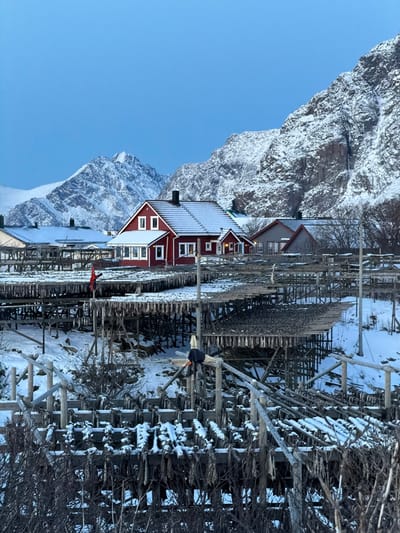 A winter landscape features a red wooden house with a snow-covered roof, nestled against a backdrop of steep, snow-covered mountains under a clear blue sky. In the foreground, a series of wooden racks are laden with what appears to be dried fish, suggesting a coastal fishing village. The scene is quiet and serene, capturing the essence of a Nordic winter. Some vegetation is covered with snow.