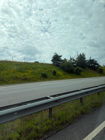 The media file depicts a roadside scene, likely a highway or a major road, in Groß Sarau, Germany. The image is oriented vertically, with the sky occupying the left portion and the road and its surroundings on the right.

The sky is filled with a dense layer of clouds, creating a somewhat overcast or diffused lighting condition, suggesting it could be a cloudy day. The clouds have a textured, almost rippled appearance.

The road itself is paved with asphalt and has a clear white lane marking. To the right of the road, there's a metal guardrail, a common safety feature on highways. Adjacent to the road and guardrail is a grassy verge, interspersed with some patches of yellow wildflowers.

Further from the road, on the left side of the image, is a sloped grassy area with scattered trees and bushes. Some of the trees are tall and evergreen, while others appear more dense and leafy. In the distance, a wire fence is visible, supported by metal poles, and triangular structures, which might indicate a rural or protected area.

There is no activity or event clearly depicted; the scene appears to be a static landscape captured from a moving vehicle, given the perspective. No people are visible. Notable details include the guardrail, the specific type of cloud formations, and the presence of wildflowers and the fence. The time of day is not definitively discernible due to the cloud cover, but the lighting suggests it is daytime. The location cues (road, guardrail, grassy verge, fence, trees, and wildflowers) are consistent with a rural highway environment in Germany. No visible text is present in the image.